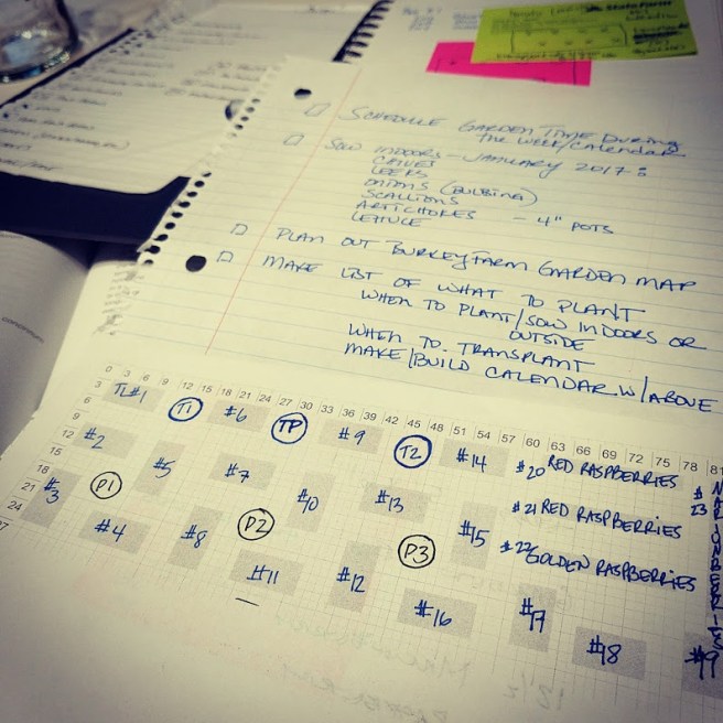 img_20170113_151158_221