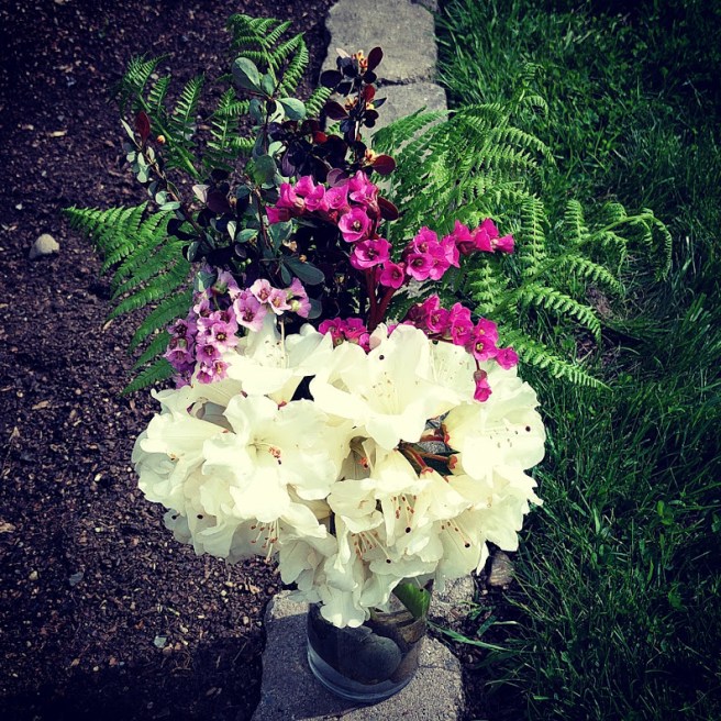 IMG_20170506_162122_990