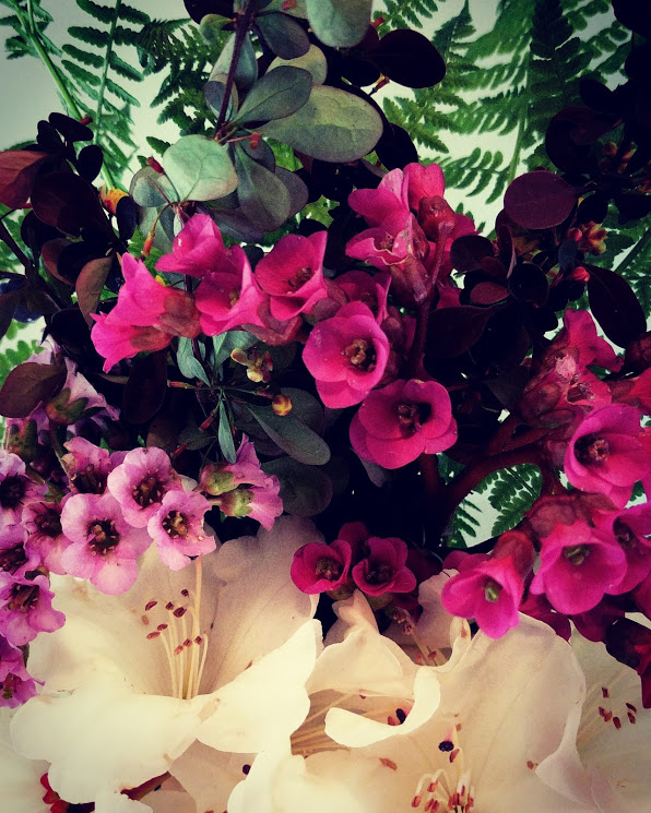 IMG_20170506_162653_944