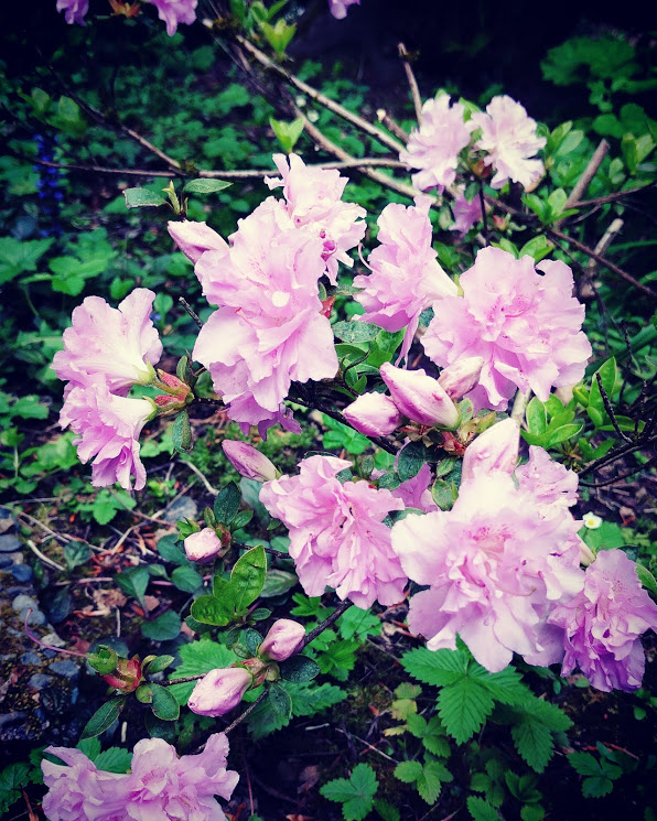 IMG_20170520_110838_576