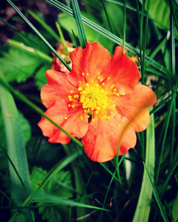 IMG_20170520_111055_519