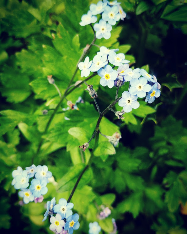 IMG_20170520_111256_287