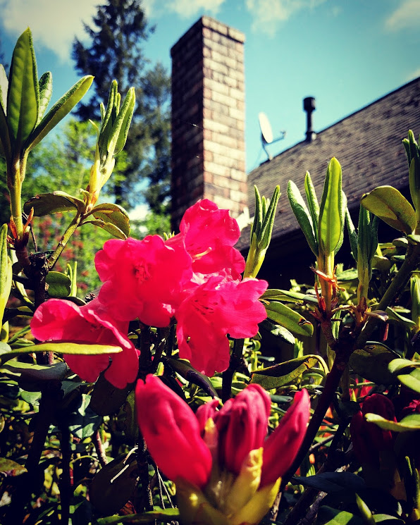 IMG_20170520_111612_433